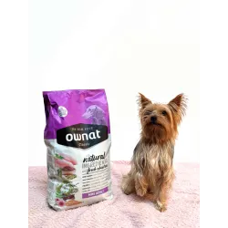 OWNAT CLASSIC MINI ADULT - chien